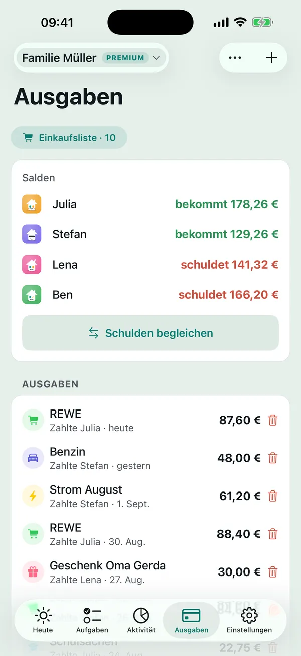 Die Ausgaben des Haushalts