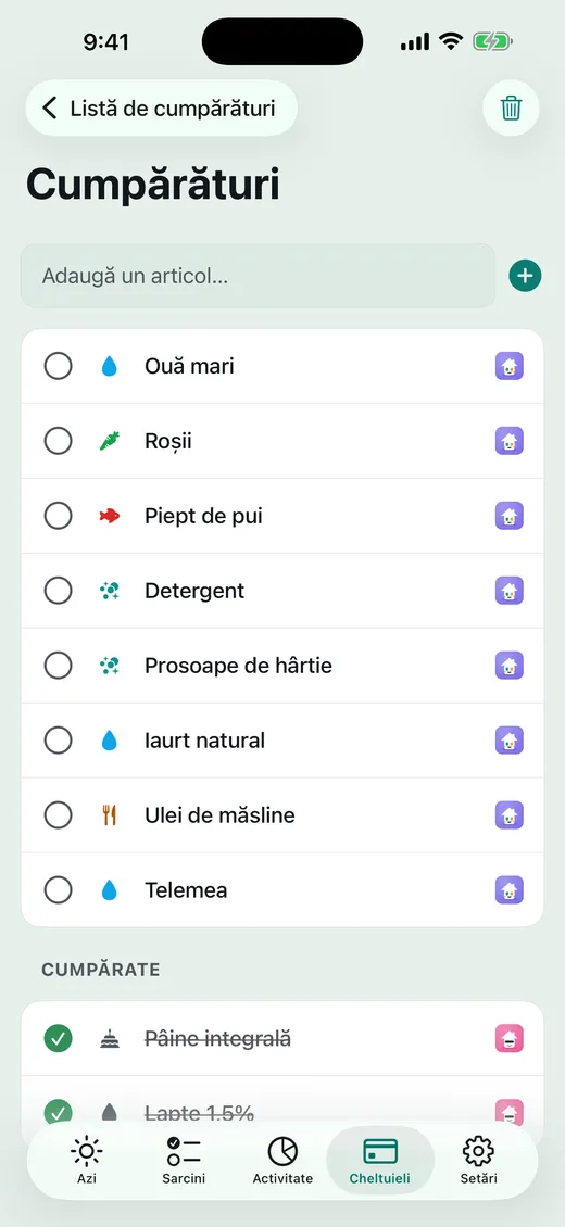 Cine se ocupă de cumpărături?
